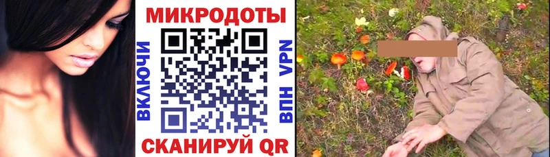 Купить Боровск Псилоцибиновые грибы Psilocybine cubensis